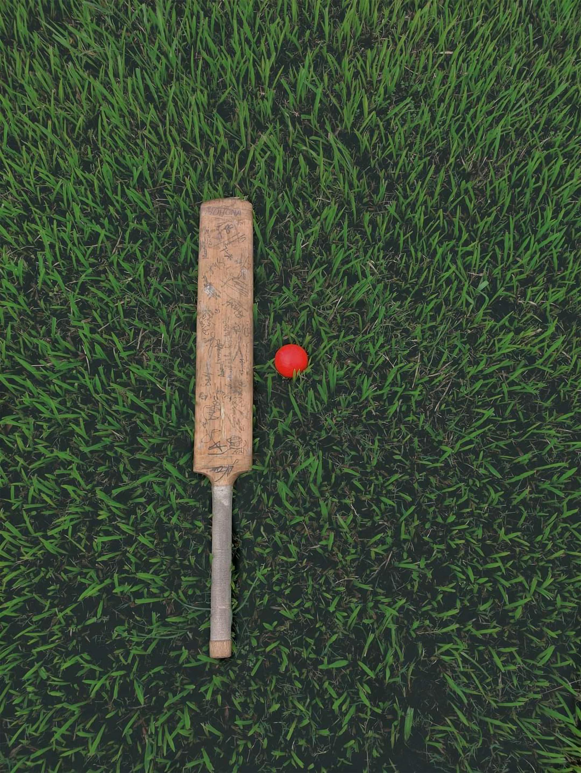 Cricket Turf at Team Inertia Sports Academy